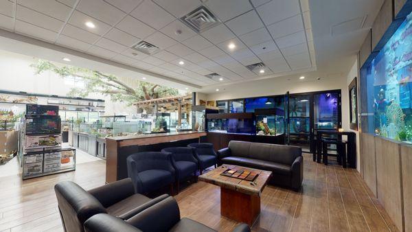 Beautiful showroom for relaxing at Fish Gallery Addison