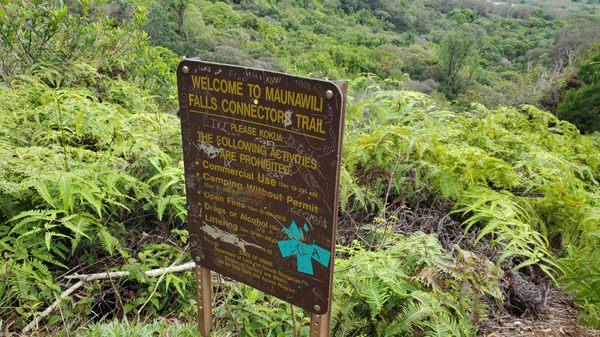 Follow this sign downhill to the stream and the waterfall.