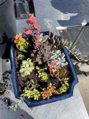 My friend's pot that she filled.