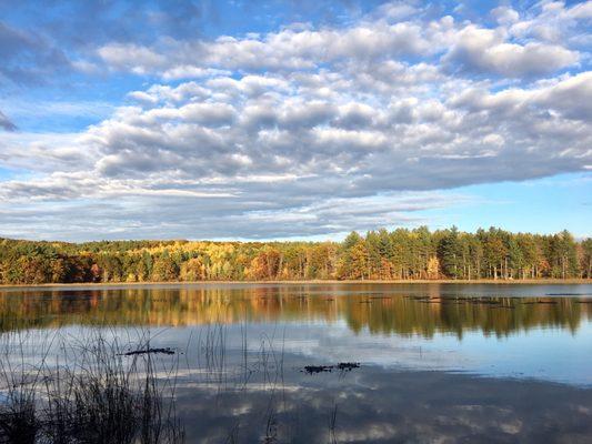 Pigeon River Country State Forest Area