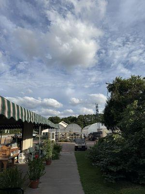 Grandy Greenhouse and Farm Market