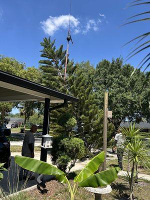 Gregg's Quality Tree Care