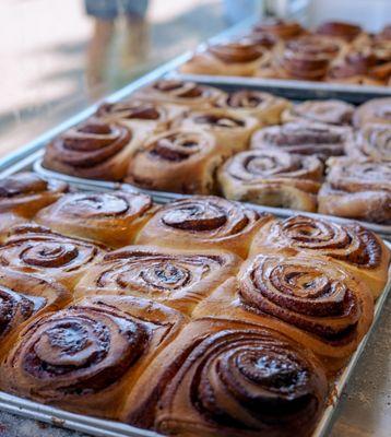 Fresh cinnamon rolls