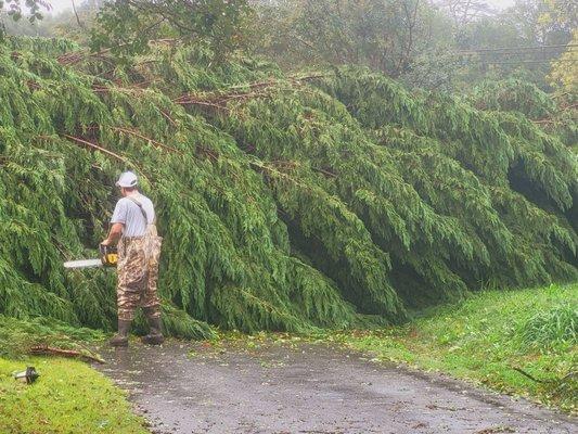 Did a great job helping cut trees after the hurricane