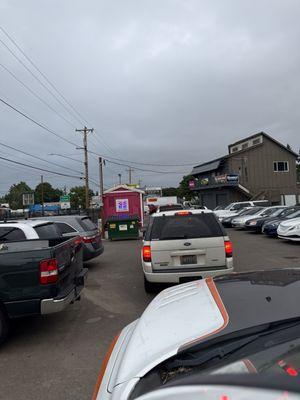 Temptations Bikini Espresso