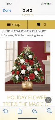 Spring Cypress Flowers