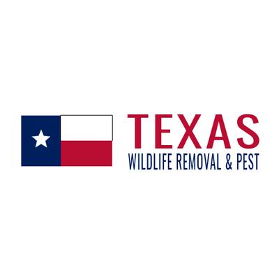 Texas Wildlife Removal & Pest