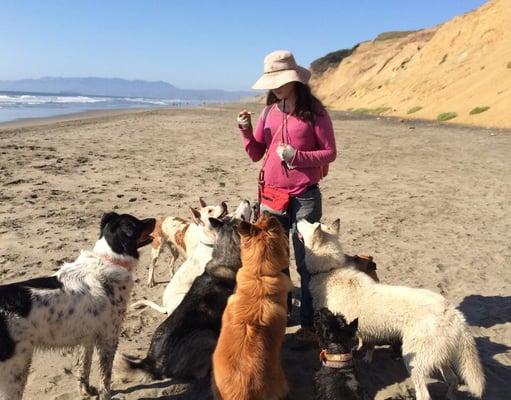 Once Upon A Dog Walk