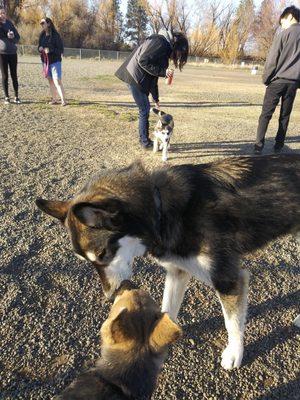 Just meet new friends and making new Buddies!!