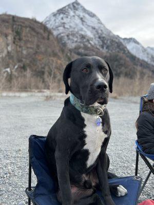 Alamo all in one services