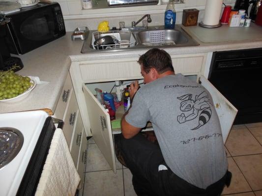 Ecologix Pest Elimination