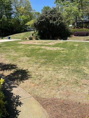 Executive Turf Care