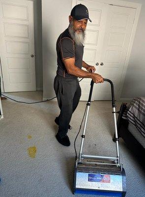 Expert Carpet Cleaning