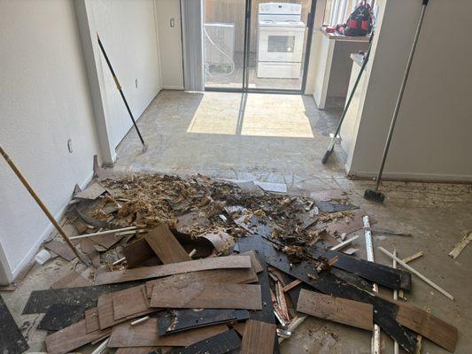 Flooring demolition