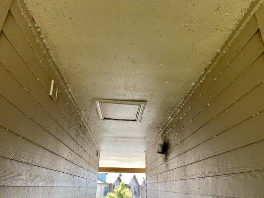 Lake Forest Apartments