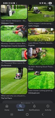 Landscape Restorators