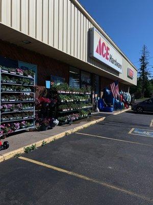 Hayward Ace Hardware