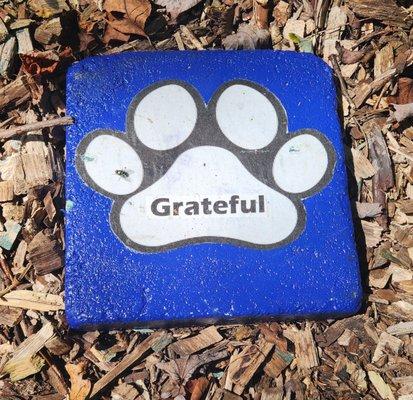 Over the Rainbow Bridge