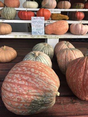 Cheyenne's Road Market