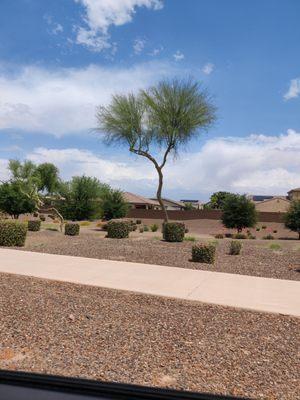 Terra Verde Landscape Solutions