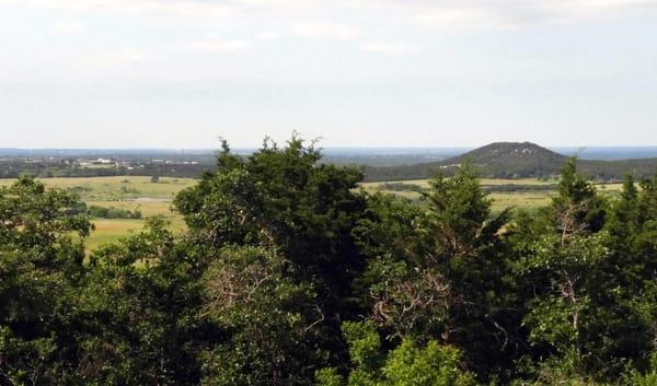 Dickerson Real Estate