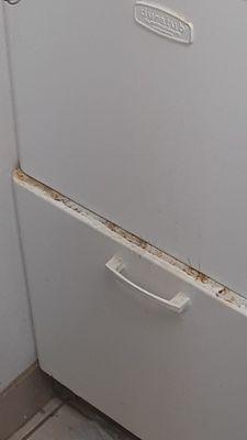 Loves Cleaning Services