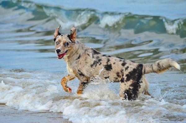 Michele Friszell Photography