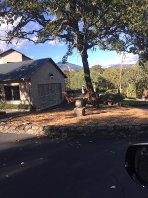 Heritage School Vineyards