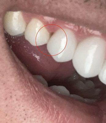 Dino S Javaheri, DDS