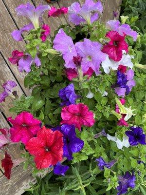 Vern Goers Greenhouse