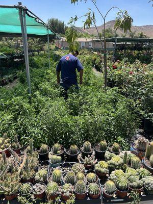 La Madrina’s Nursery