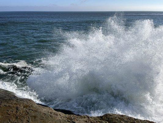 Rancho Del Bordo Mobile Home Estates