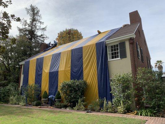 Morales Exterminating