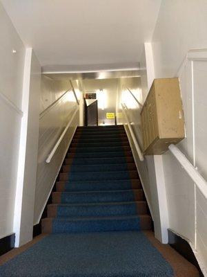 Up the stairs on the left