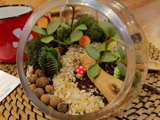 Terrarium!