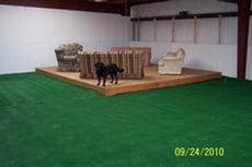 Our indoor play area. Your dog will love it here.