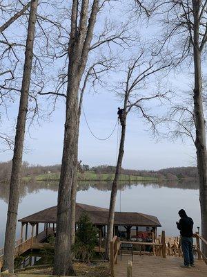 Dodson's Complete Tree Service