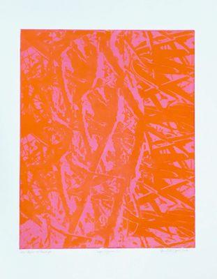 'Jaipur Infusion', Unique Solar Etching, 1/1 , 30" x 22"