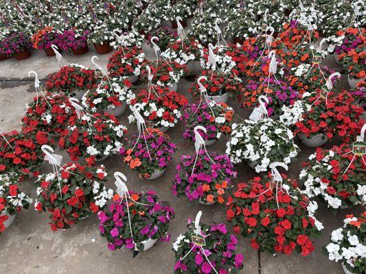 Catoctin Mtn Growers