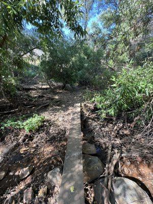 El Cajon Mountain Trail - South Ridge