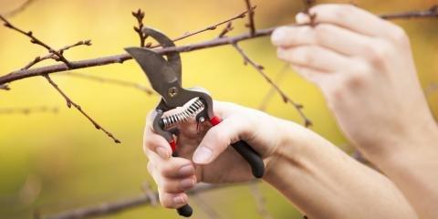 Collins Tree Service