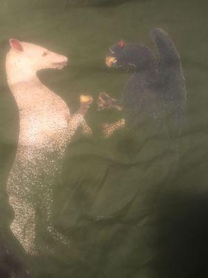 Family Mascots (Printing by 'Printful')