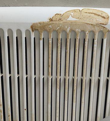 Colonial Commons Apartments