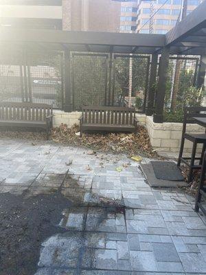 Junk Removal Carrillo