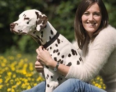 Canine Behavior Center