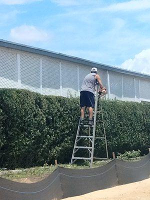 Dwight's Landscaping