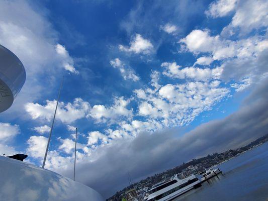 Beautiful weather for some waxing on Lake Union today! More nice work from the best wax crew!