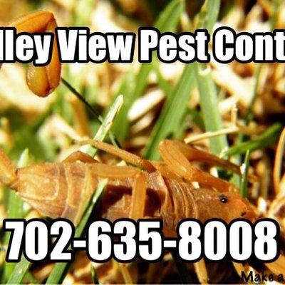Valley View Pest Control