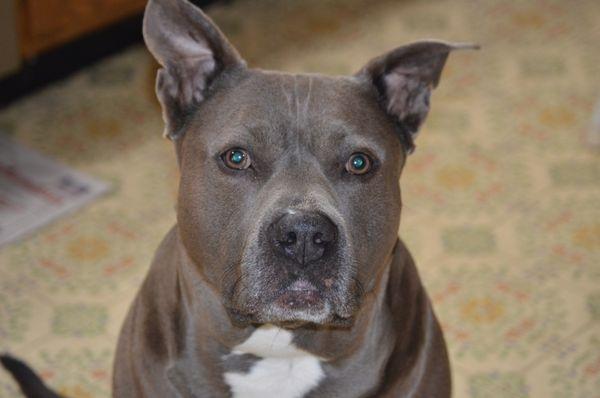 Candid Clicks Photography