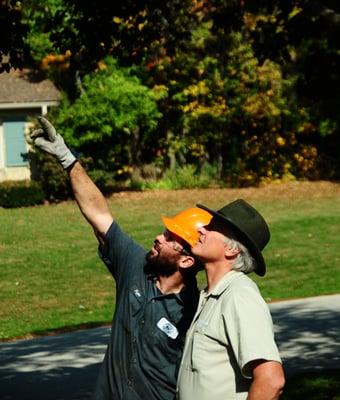 American Tree Experts, Inc.